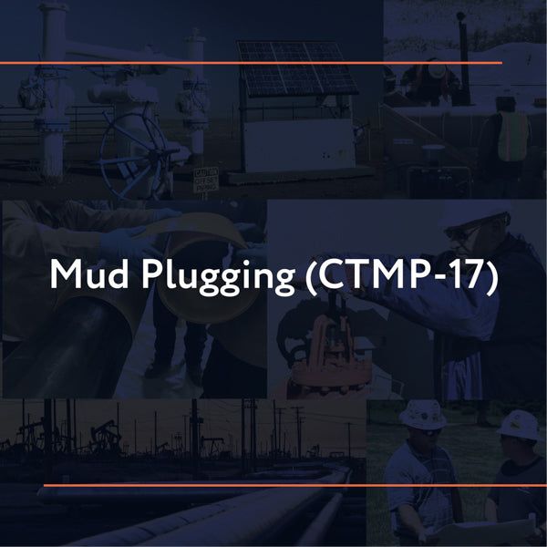 Picture of CTMP-17: Mud Plugging
